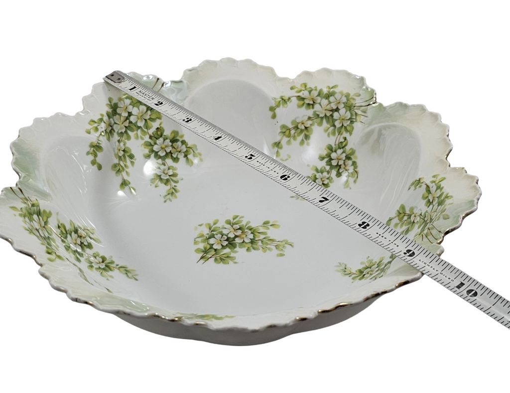 RS Prussia German Porcelain Bowl Surreal Pattern Satin Finish Mold 254