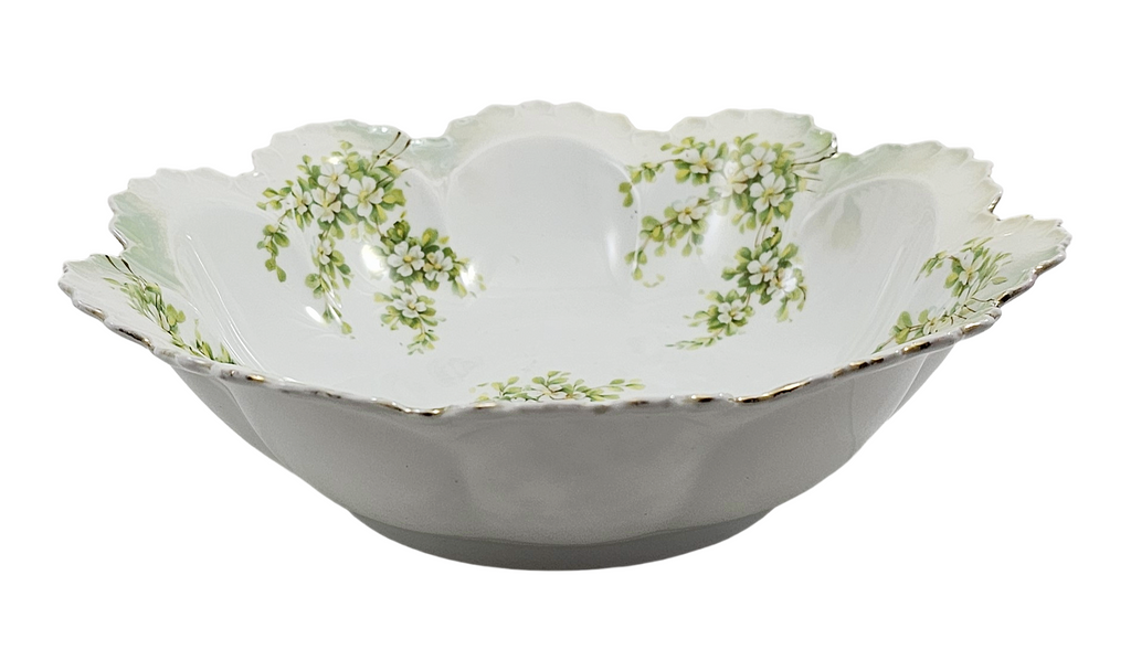 RS Prussia German Porcelain Bowl Surreal Pattern Satin Finish Mold 254