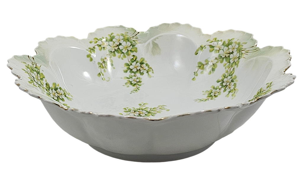 RS Prussia German Porcelain Bowl Surreal Pattern Satin Finish Mold 254