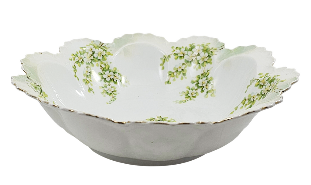 RS Prussia German Porcelain Bowl Surreal Pattern Satin Finish Mold 254