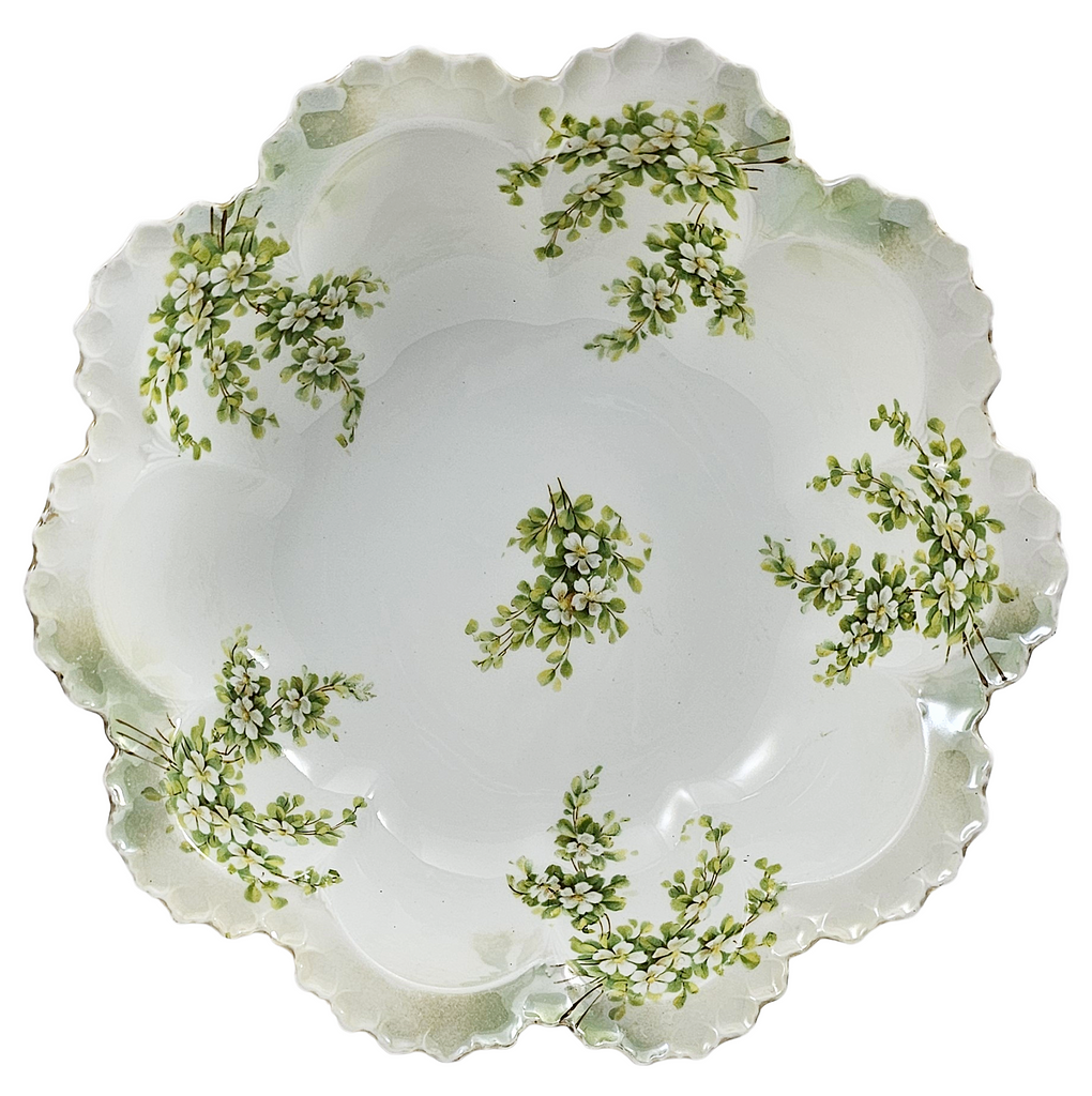 RS Prussia German Porcelain Bowl Surreal Pattern Satin Finish Mold 254