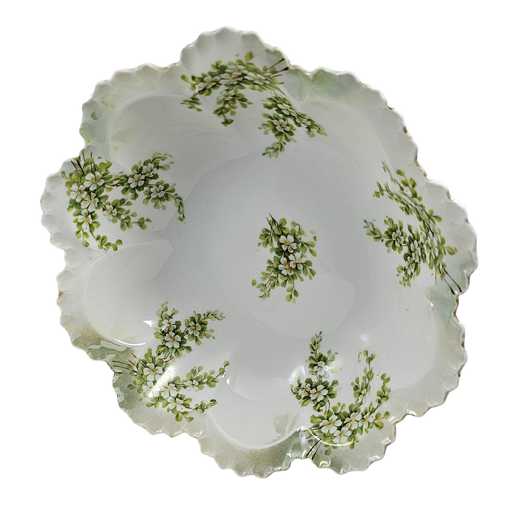 RS Prussia German Porcelain Bowl Surreal Pattern Satin Finish Mold 254