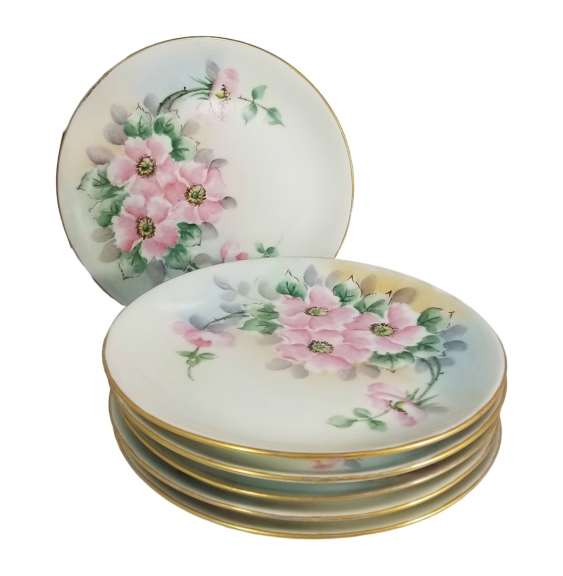 Bavarian Porcelain Plate Set of Six (6) Hand Painted Pink Floral Decor