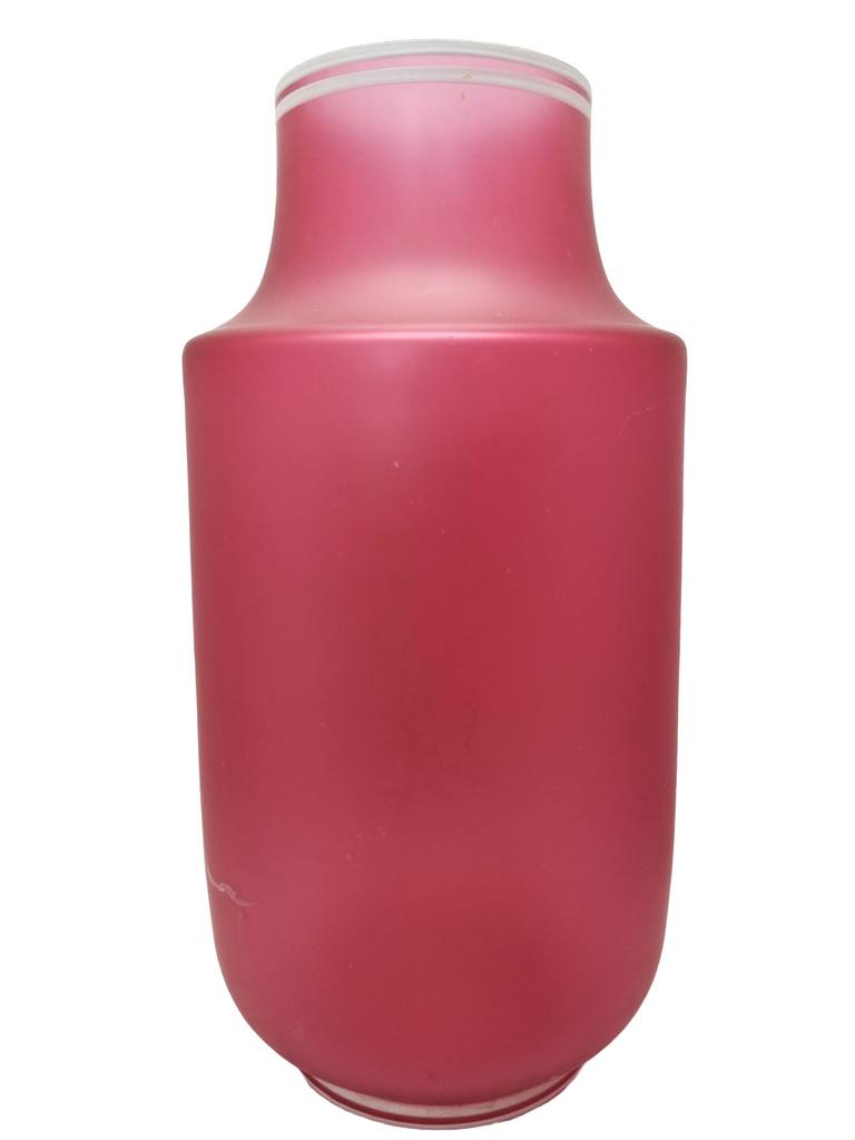 Monumental Antique Art Nouveau BOHEMIAN Cameo Cranberry Glass Vase