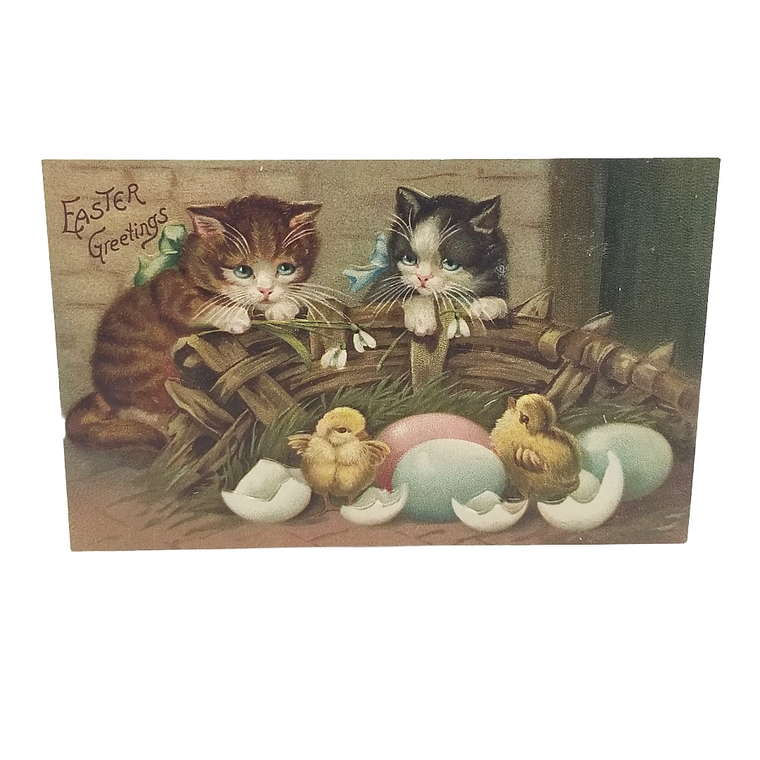 Easter Postcard 1900s Kittens Watching Baby Chicks Hatch From Painted Eggs Series 216