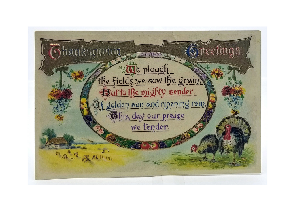 Thanksgiving Postcard Turkeys with Fruit Gold Embossed Poem Series 2484