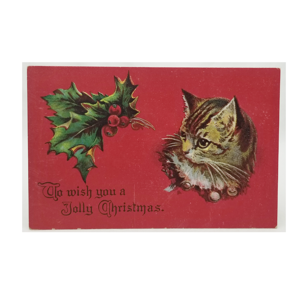 Vintage Christmas Postcard, Antique Holiday Card, Embossed Kitty Cat with Holly and Red Background