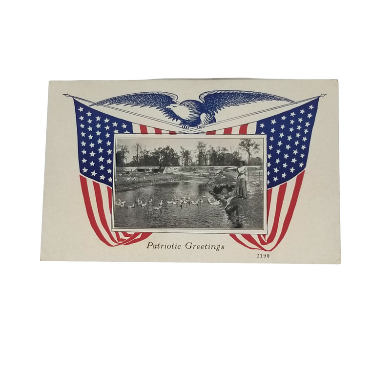 Patriotic Postcard Red White & Blue Eagle Holding American Flag Real Photo Image Woman