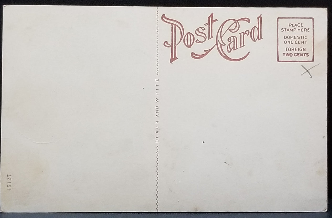 Lone Cottonwood Tree Aberdeen OH Ohio RPPC Style Postcard