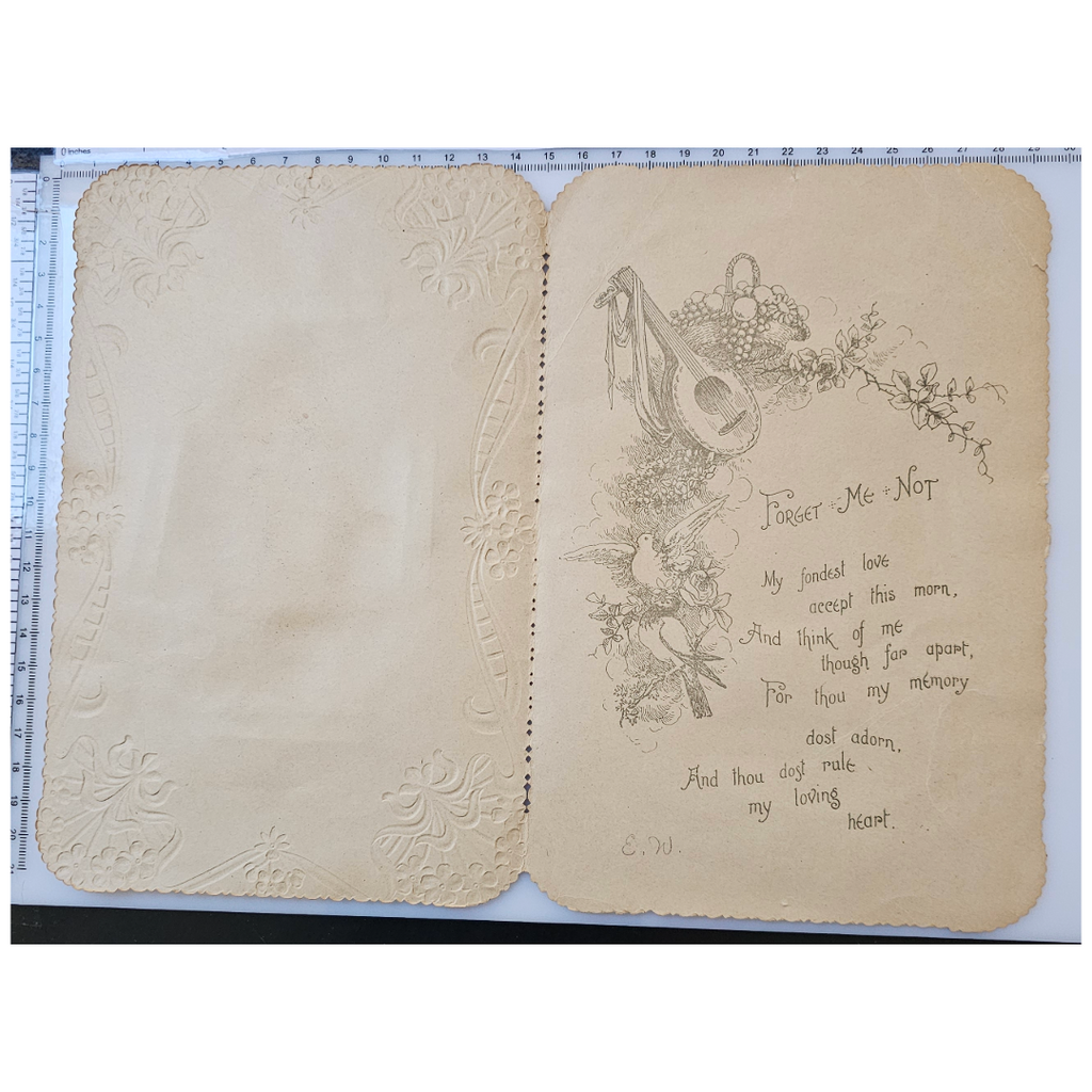 Antique German Die Cut Embossed Silver Foil Valentine's Card Young Girl & Flowers