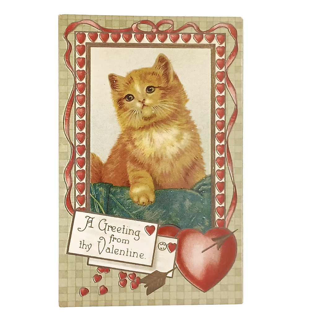 Vintage Valentine Postcard Orange Kitten with Heart on String Gold Embossed