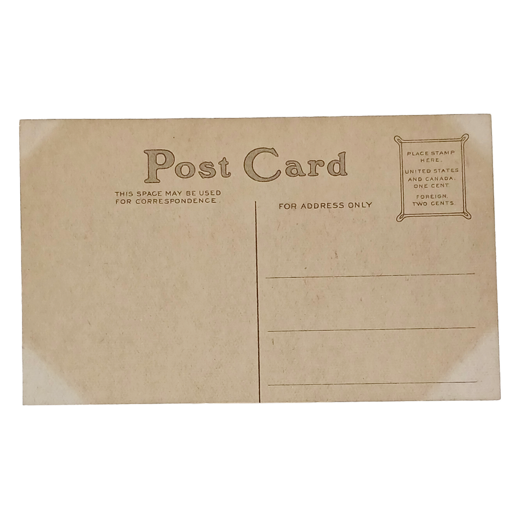 Vintage Valentine Postcard Portrait of Edwardian Woman in Green Gold Background