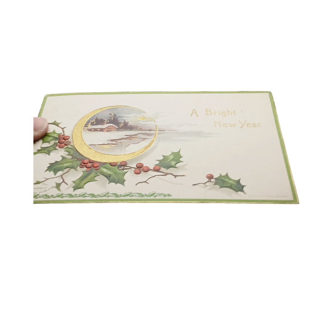 New Year Postcard Clapsaddle House In Snowy Forest Mistletoe Border Green Embossed