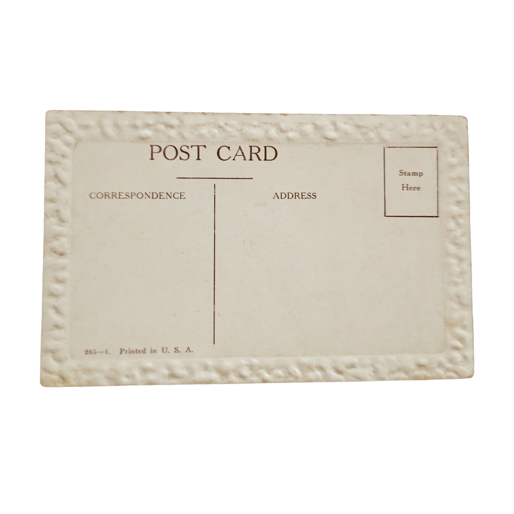 Comic Postcard "Who's Looney Now?" Artist C. Hobson Drunken Man Angry Wife