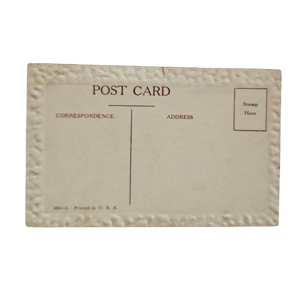 Comic Postcard "Who's Looney Now?" Artist C. Hobson Drunk Man Angry Wife