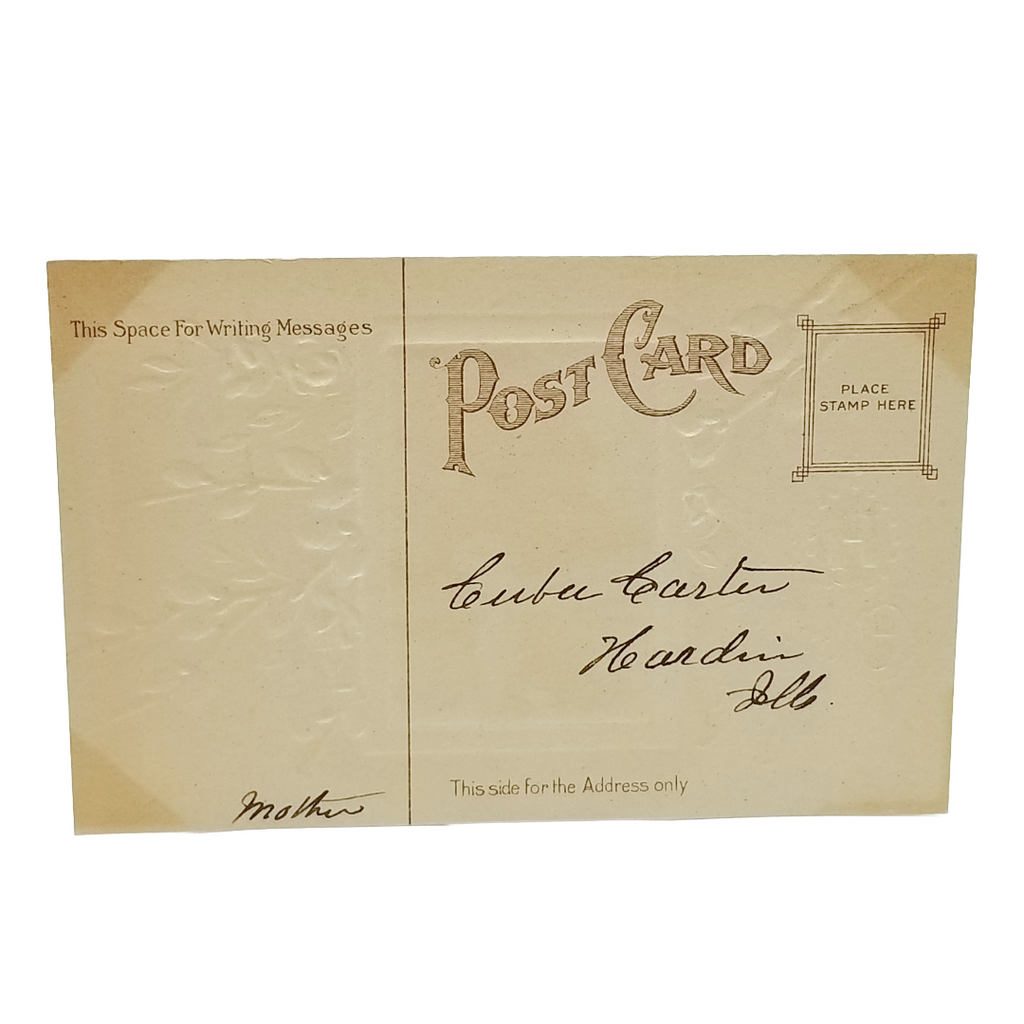 Easter Postcard Edwardian Woman Strolling in Field Pussy Willow Branches Border