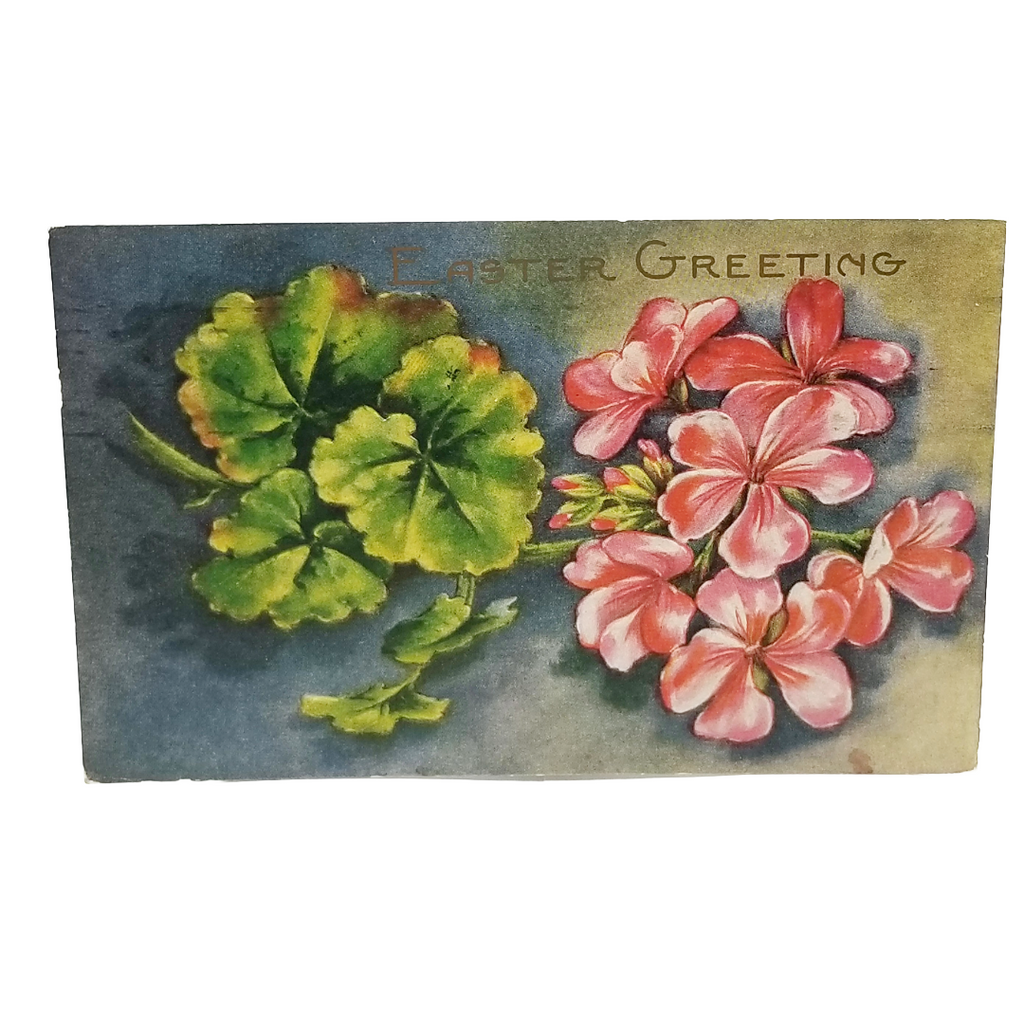 Easter Postcard Pink Geranium Flowers Against Dark Background