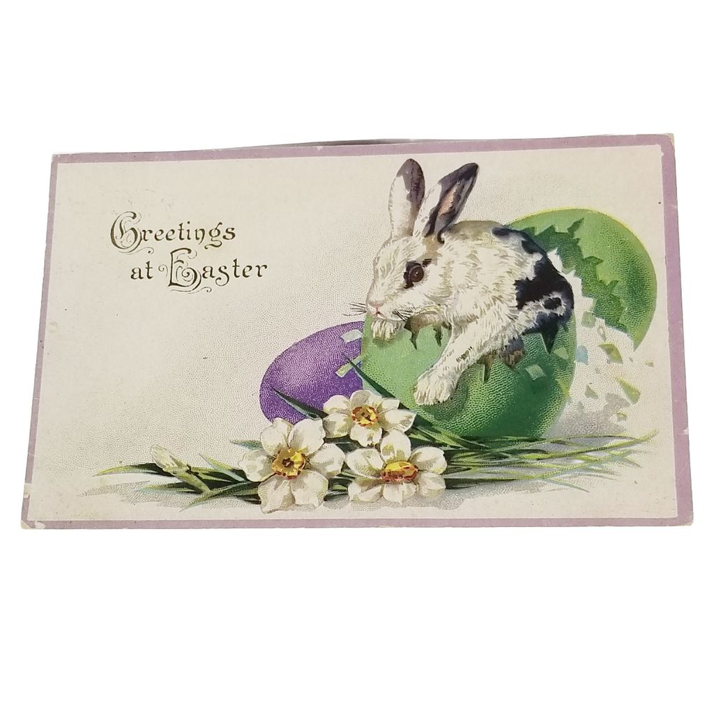 Easter Postcard Black & White Bunny Rabbit Bursting From Green Painted Egg