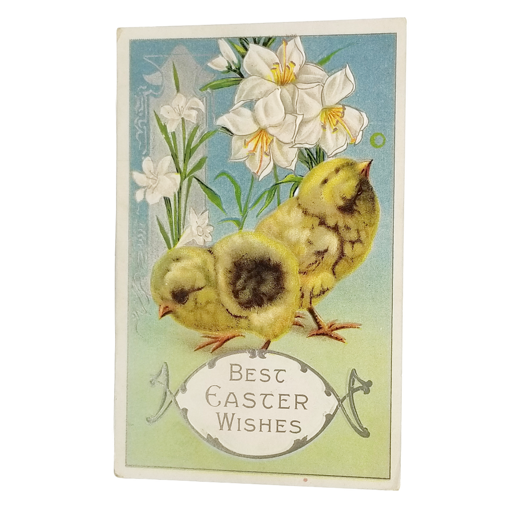 Easter Postcard Fuzzy Baby Chicks with White Lilies Series 317