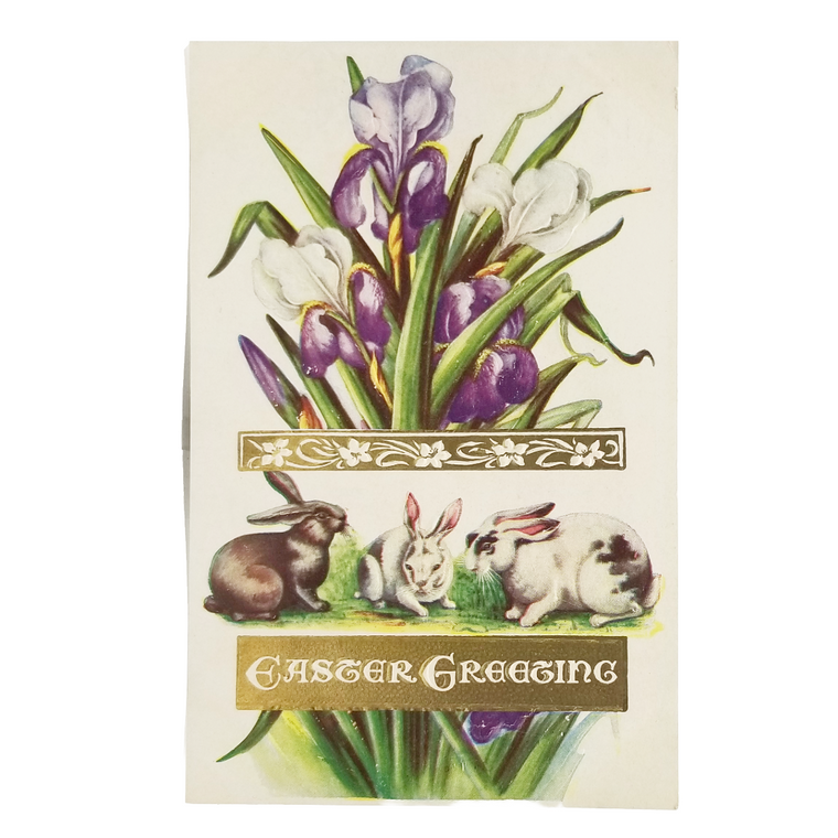 Easter Postcard Art Nouveau Style Iris Flowers Bunny Rabbits Gold Embossed