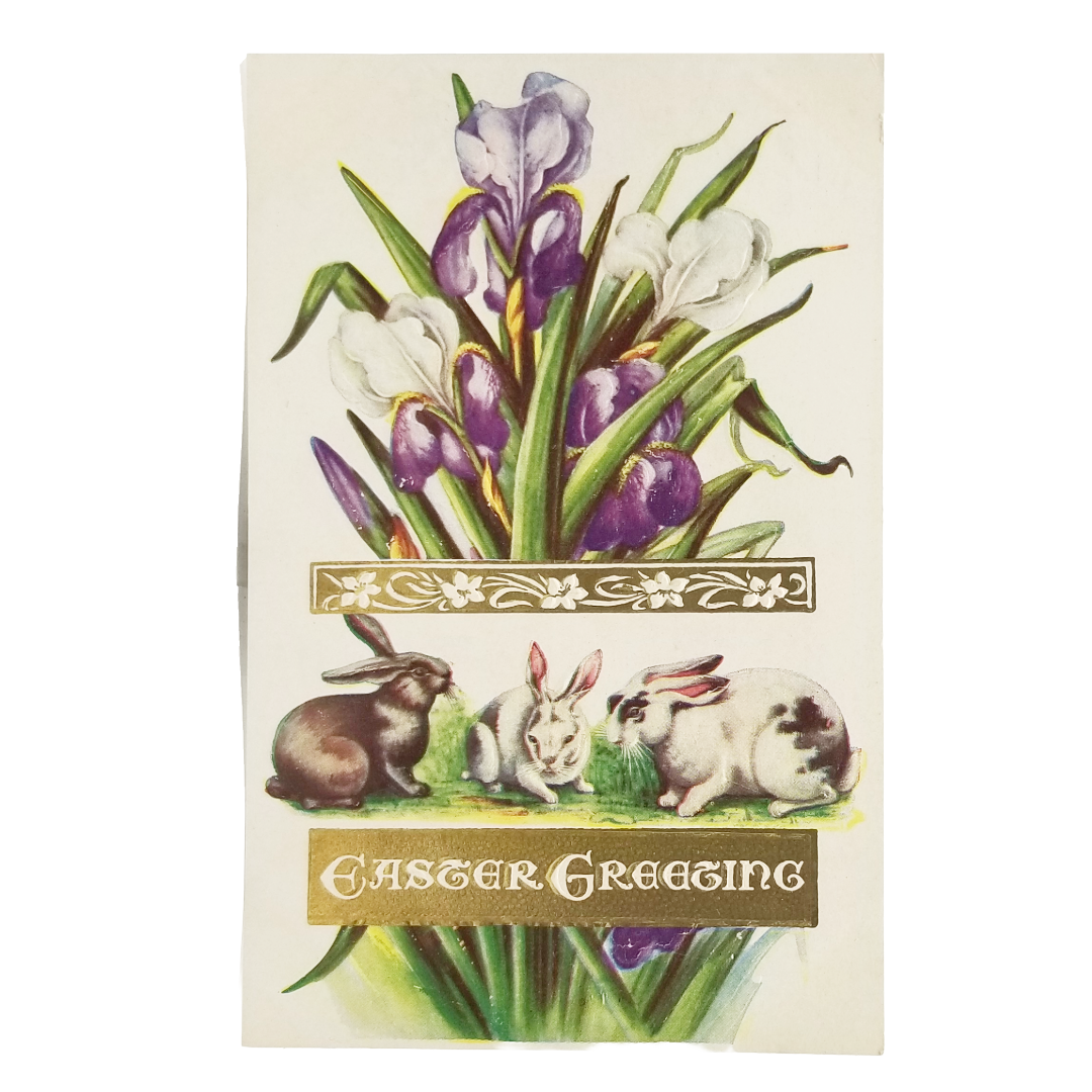 Easter Postcard Art Nouveau Style Iris Flowers Bunny Rabbits Gold Embossed