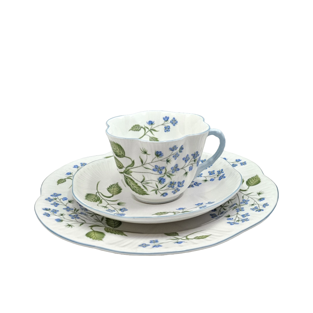 Shelley England Dainty Porcelain Cup Saucer Trio American Brooklime Pattern Cornflower Blue Trim