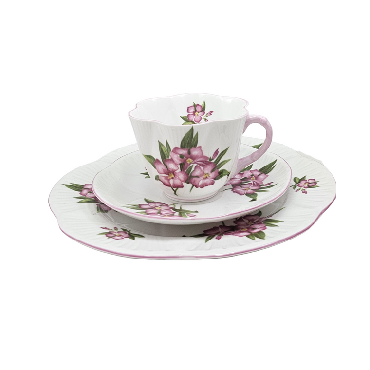 Shelley England Dainty Porcelain Cup Saucer Trio Pink Oleander Pattern Pink Trim