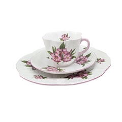 Shelley England Dainty Porcelain Cup Saucer Trio Pink Oleander