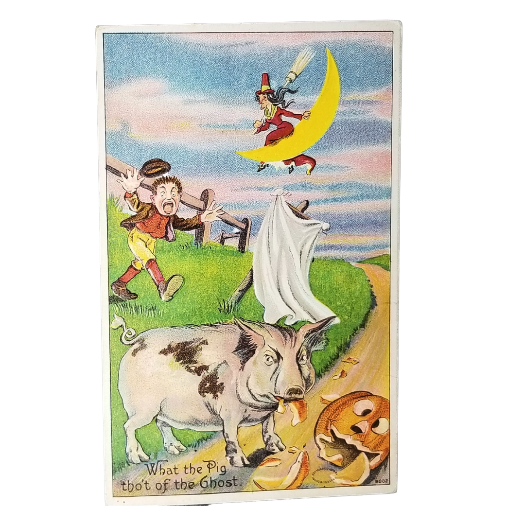 Julius Bien Antique Halloween Postcard - "What the Pig tho't of the Ghost" - Embossed Series No. 980
