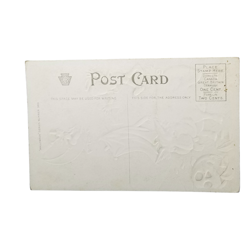 Julius Bien Antique Halloween Postcard - "What the Pig tho't of the Ghost" - Embossed Series No. 980