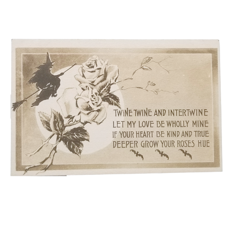A vintage-style greeting card featuring a witch riding a broomstick beside roses and branches, with printed text on a cream background.