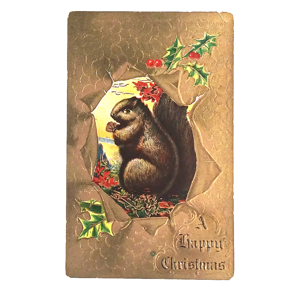 Vintage 1914 Christmas Postcard | Embossed Squirrel & Holly