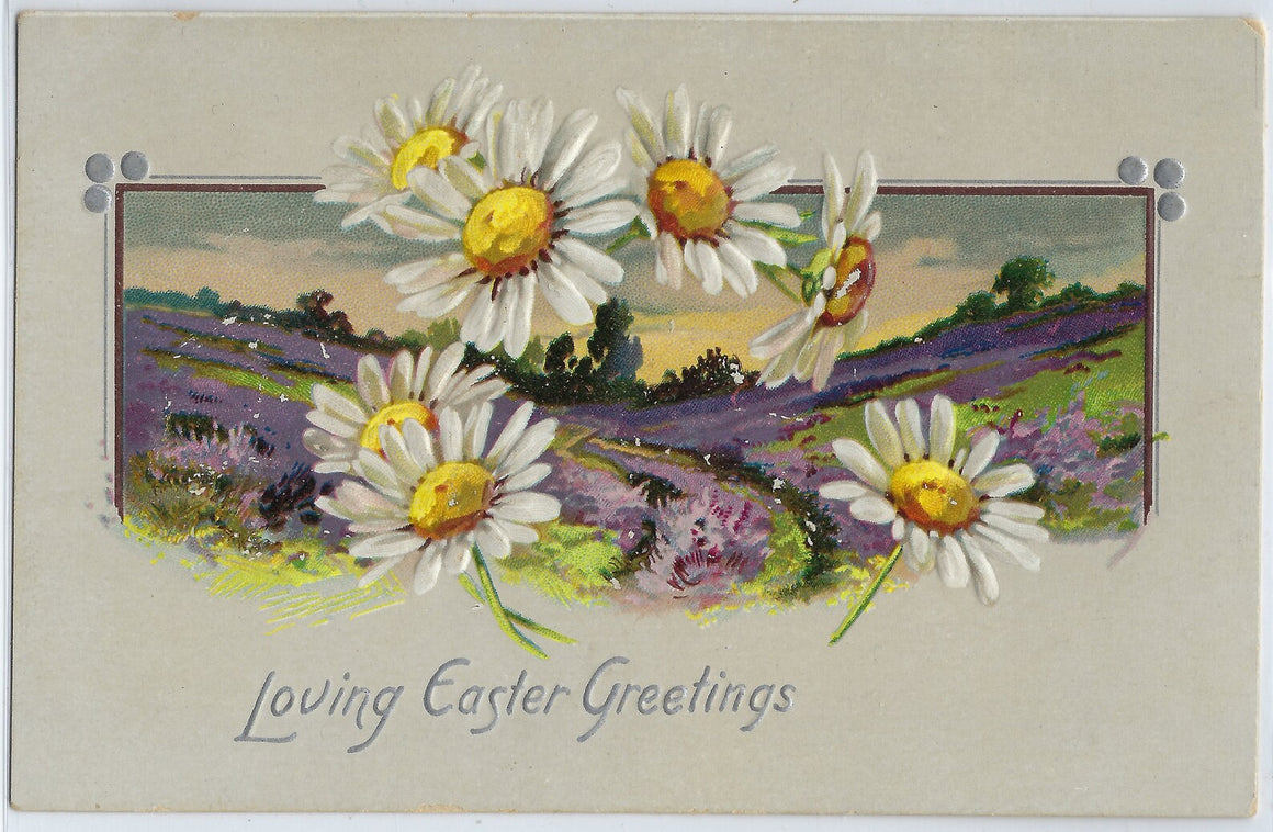 Easter Postcard Tuck Publishing Daisies Falling in a Purple Meadow Series 704