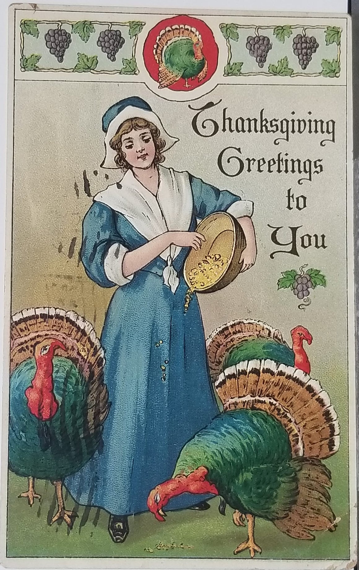 Thanksgiving Postcard Embossed Card Woman Feeding Turkeys Series 376