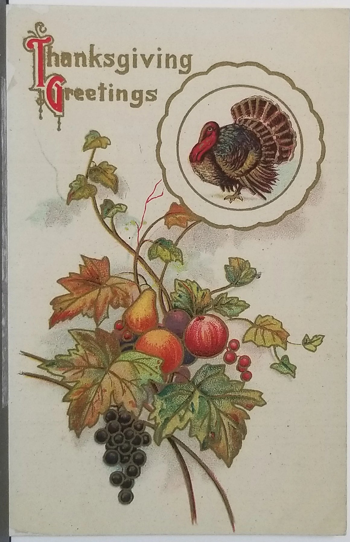 Thanksgiving Postcard Autumn Harvest Fruits with Turkey & Gold Trim