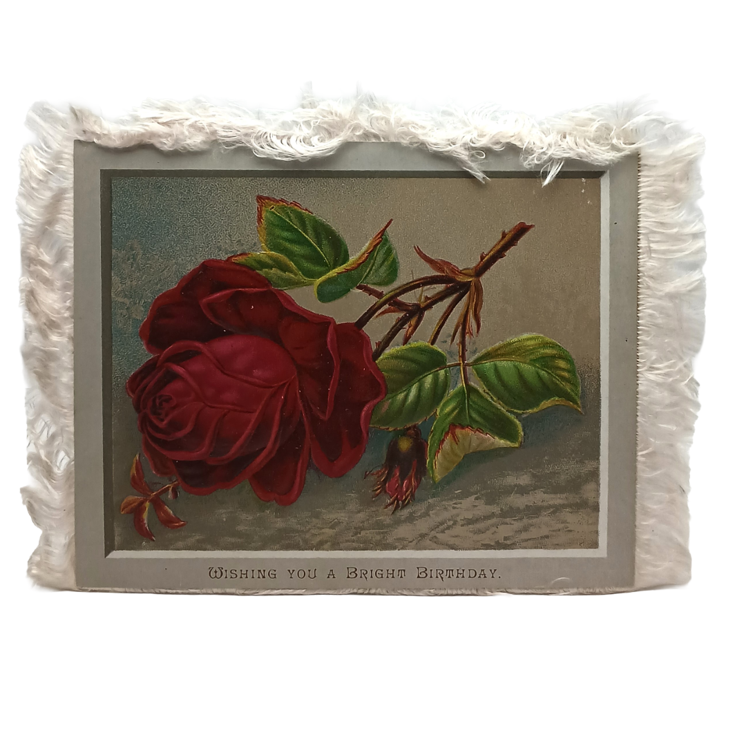 Victorian Birthday Card Silk Fringe Red & Yellow Roses