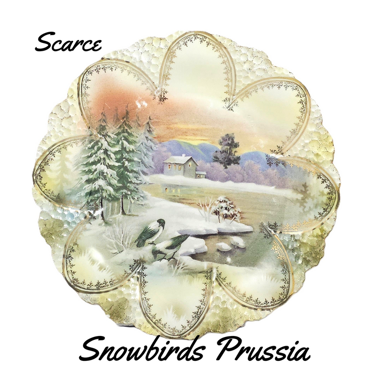 antique prussia plate in the rare snowbirds pattern