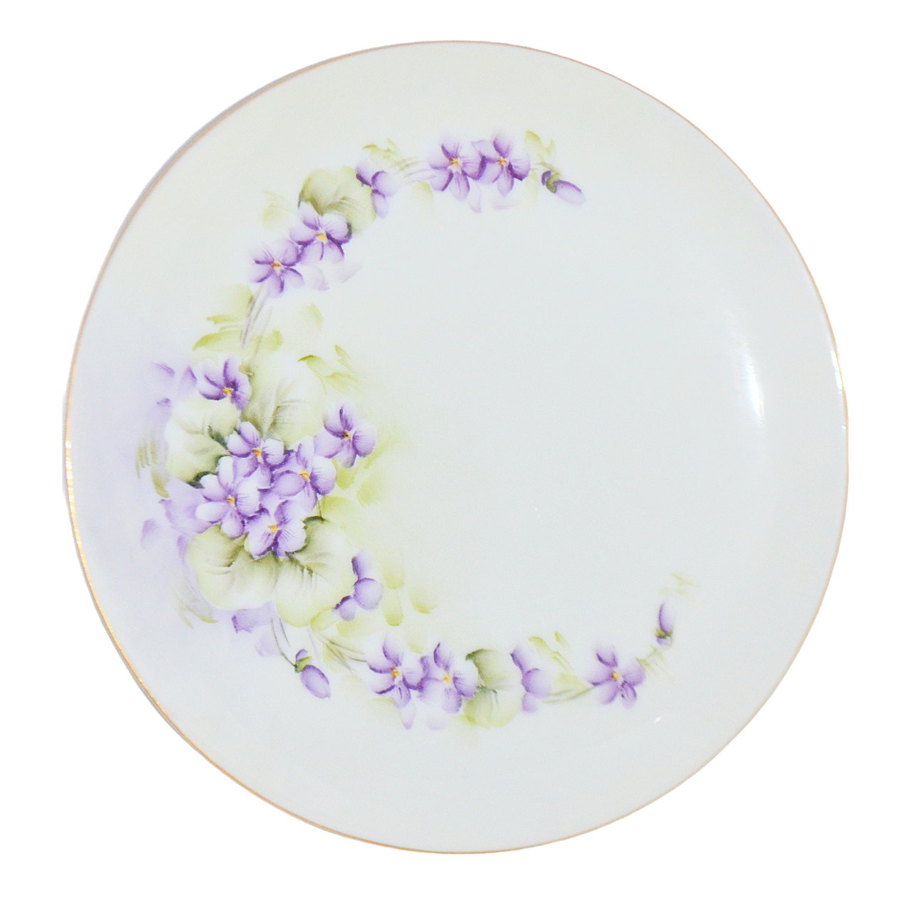 Bavarian Porcelain Hand Painted Floral Dinner Plates Set of Six