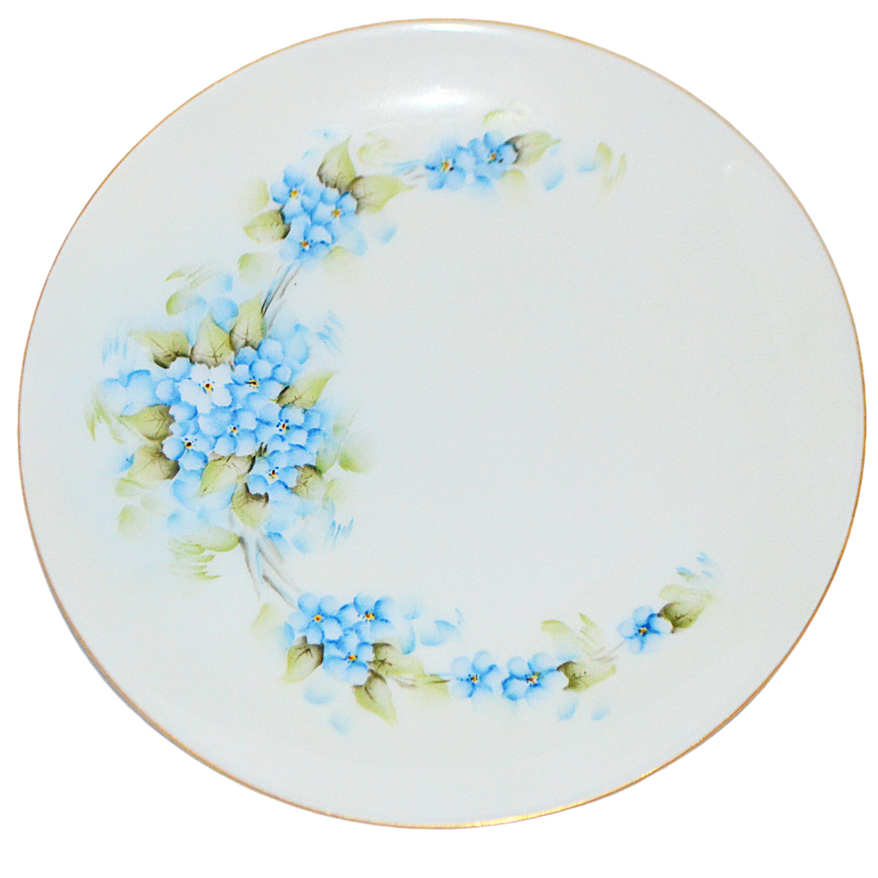 Bavarian Porcelain Hand Painted Floral Dinner Plates Set of Six