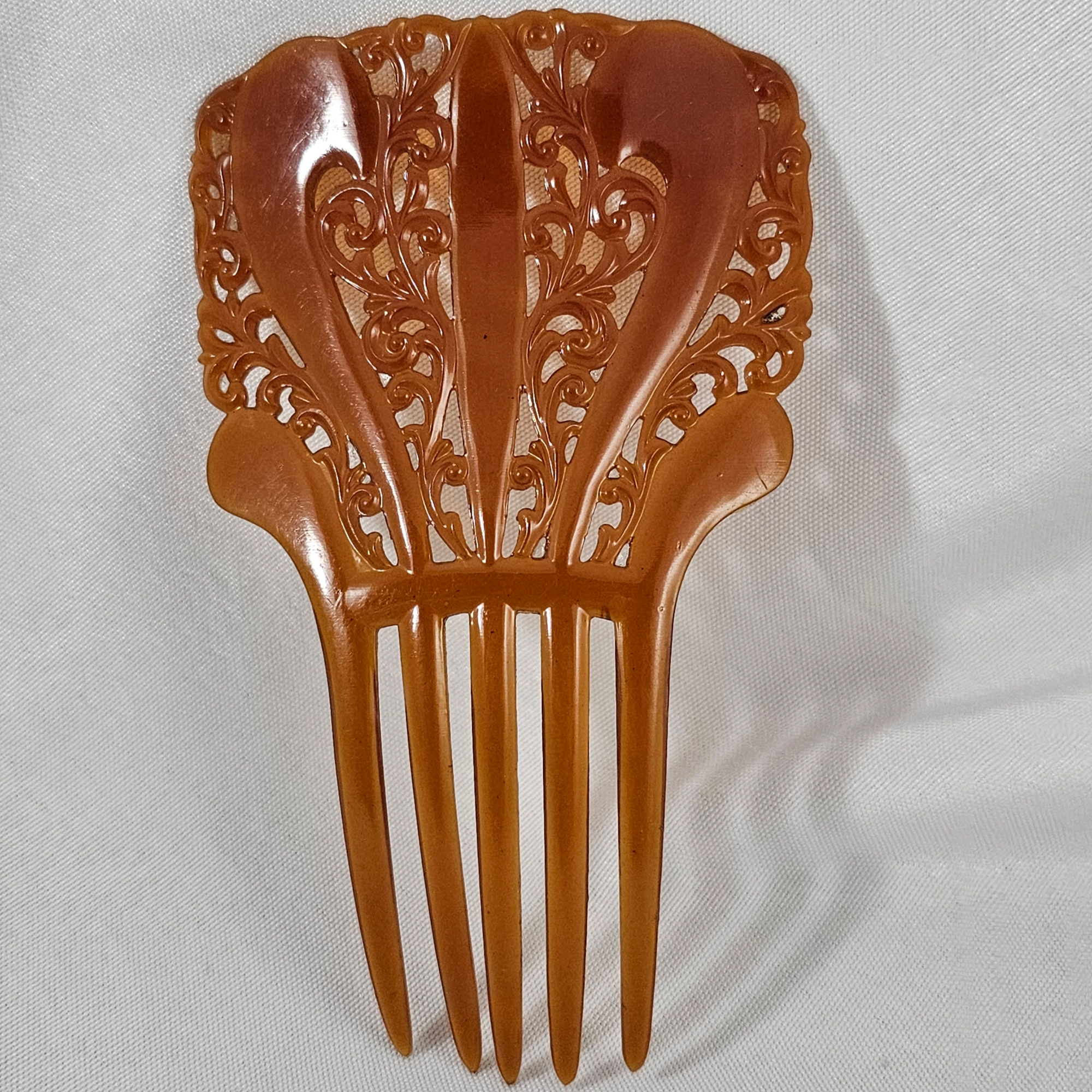 Large antique celluloid  display picture 2
