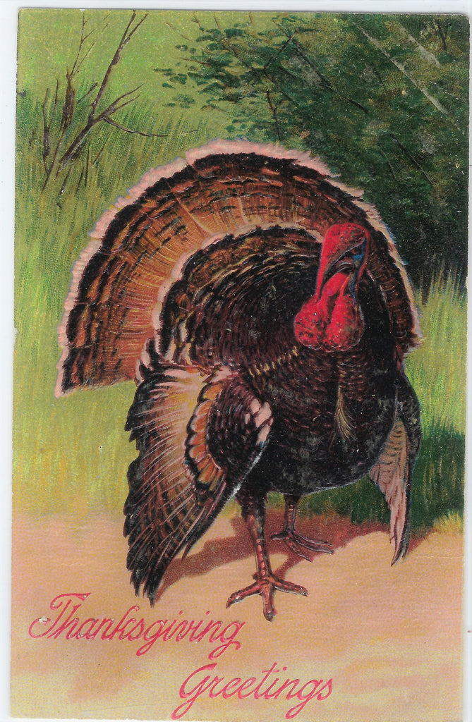 Thanksgiving Postcard Embossed Large Turkey PFB Pub. Series 7721