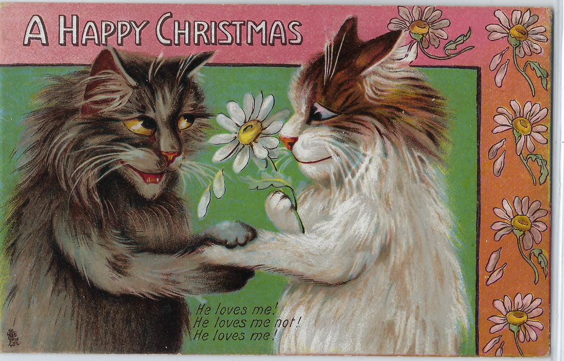 Maurice Boulanger Anthropomorphic Cats Playing Love's Me Not Happy Christmas Postcard Tuck Publishing Series 8427