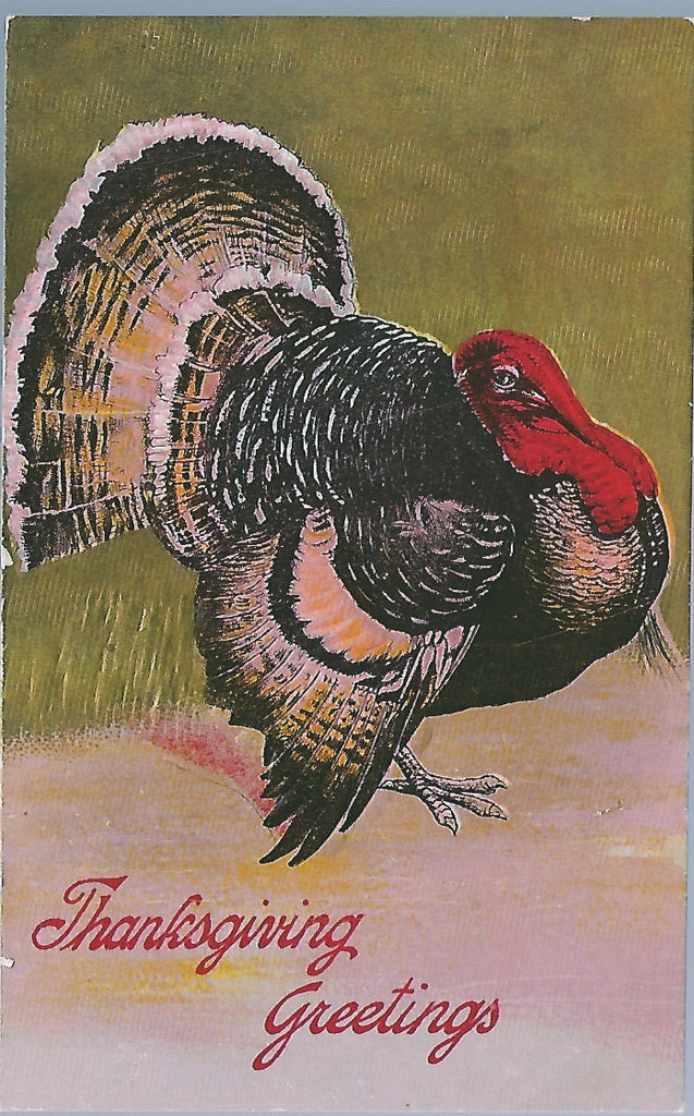 Thanksgiving Postcard Embossed Turkey Gold Background