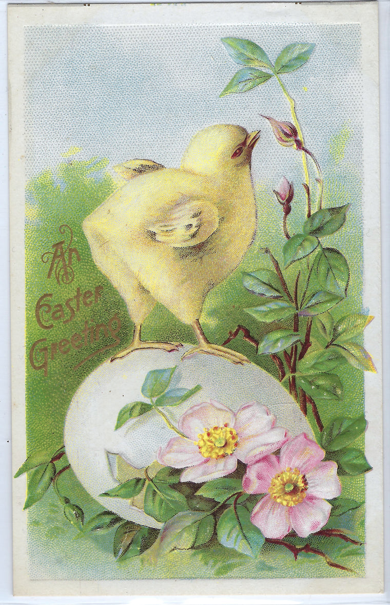 Easter Postcard Baby Chick Standing on Egg Smelling Blossoming Flowers Series 105