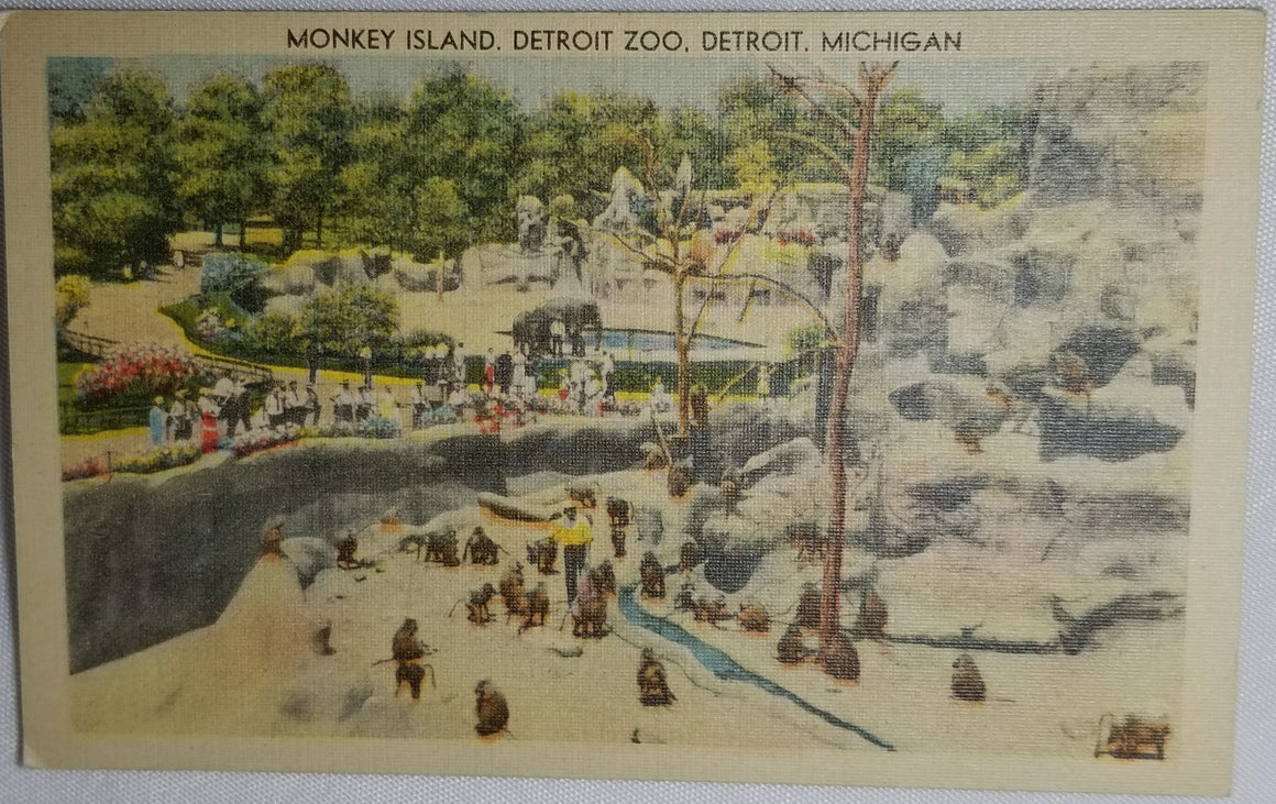 Monkey Island Detroit Zoo MI Michigan Linen Postcard