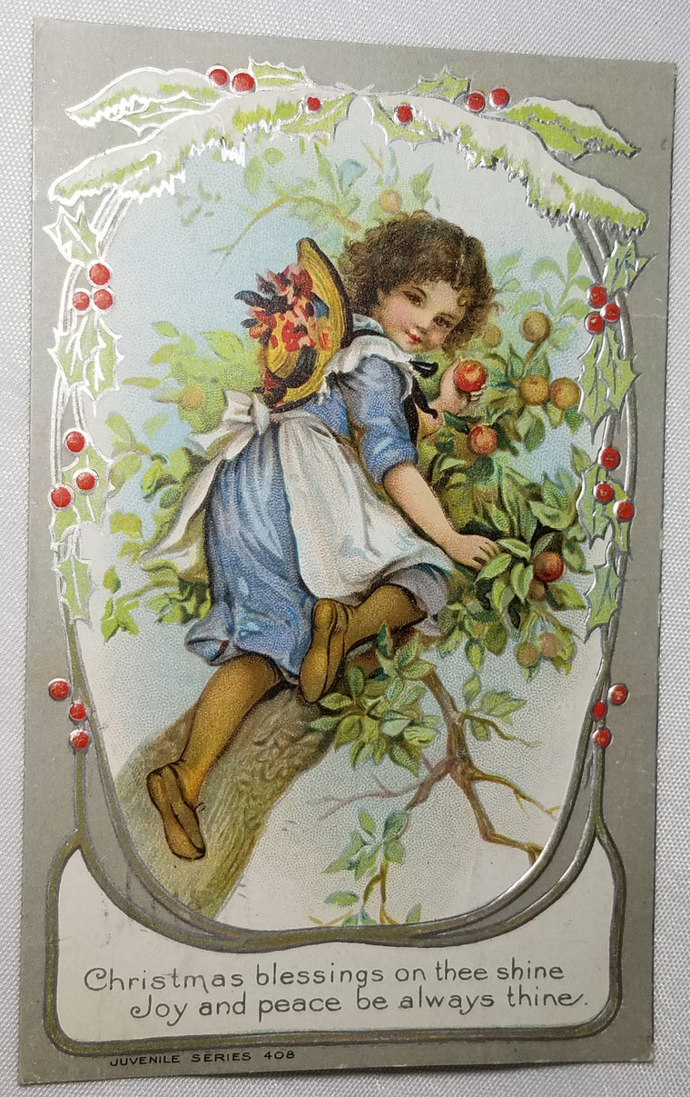Artist Frances Brundage Christmas Postcard Embossed Child Climbing Fruit Tree Juvenile Series