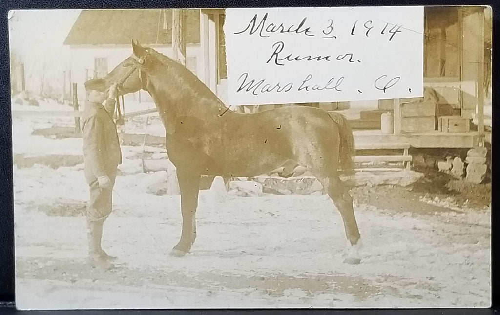 RPPC Real Photo Postcard 1914 Man Possibly Mailman Standing with Horse Named Rumor Marshall