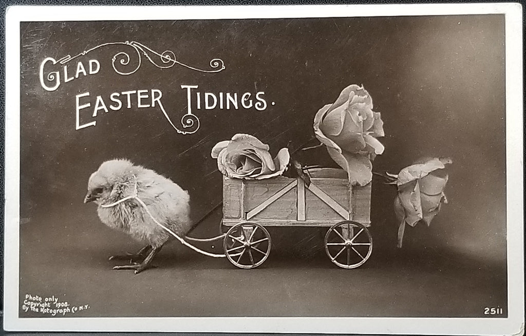 Easter Postcard RPPC Real Photo Card Rotograph Baby Chick Pulling Wagon with Flowers