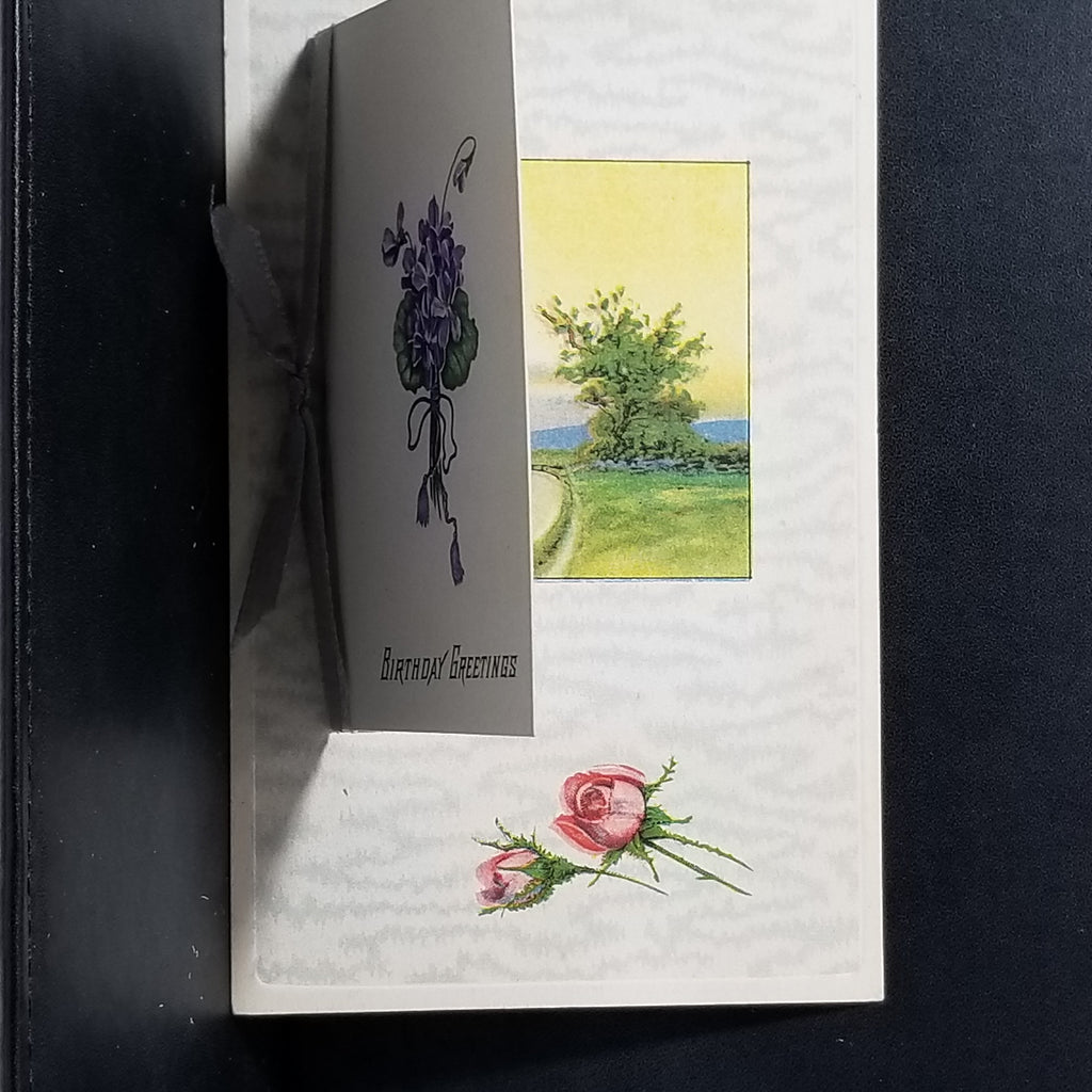 Birthday Postcard Booklet Style Poem & Flowers with Silk Ribbon John Winsch Publishing