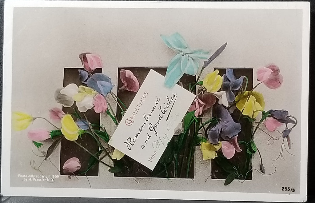 Real Photo RPPC Flower Postcard on Bromide Tinted with Pastel Colored Pansies 1909